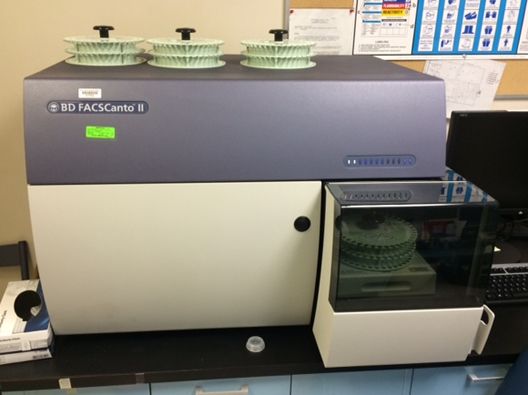 BD BioScience FacsCanto II - 3 Laser Flow Cytometer