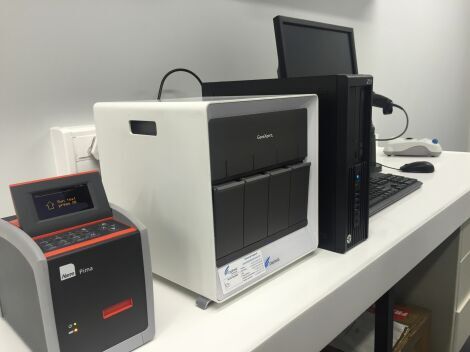 Refurbished CEPHEID Genexpert IV R2 PCR Lab - General For Sale - DOTmed Listing #3357440:
